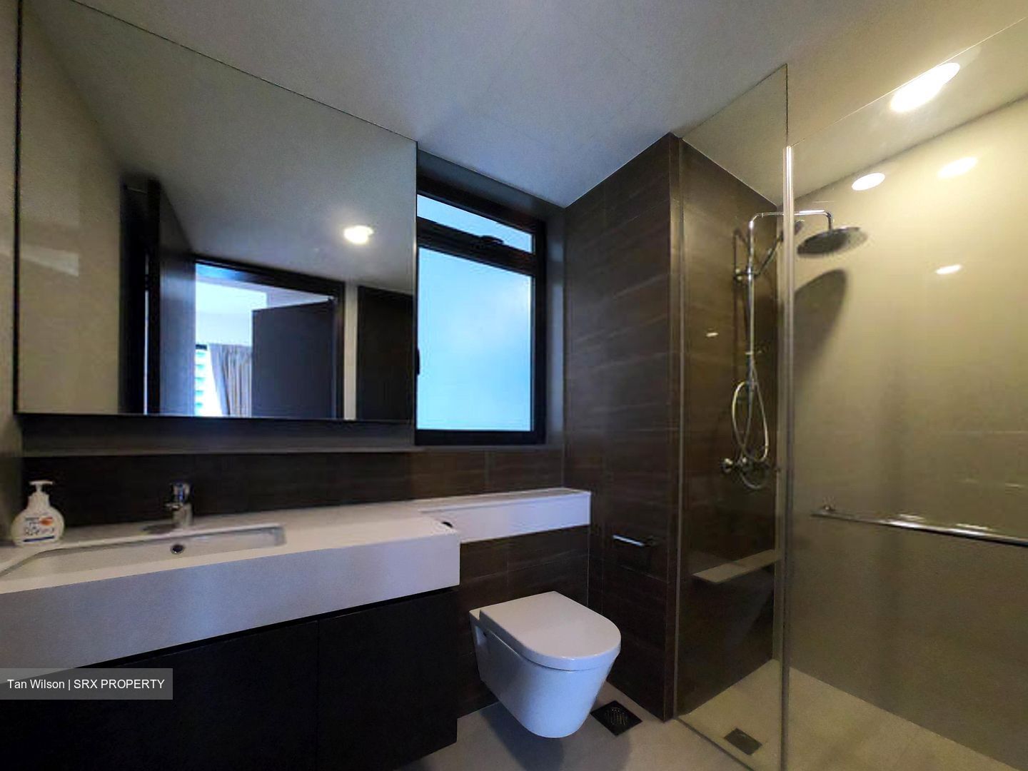 Botanique At Bartley (D19), Condominium #596202881